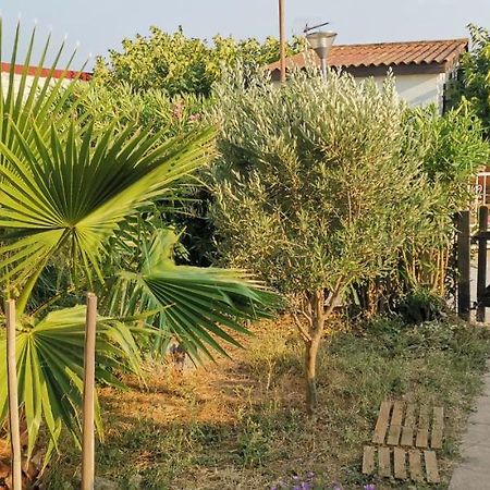 סיג'אן Chalet En Bois "Le Libellule" מראה חיצוני תמונה