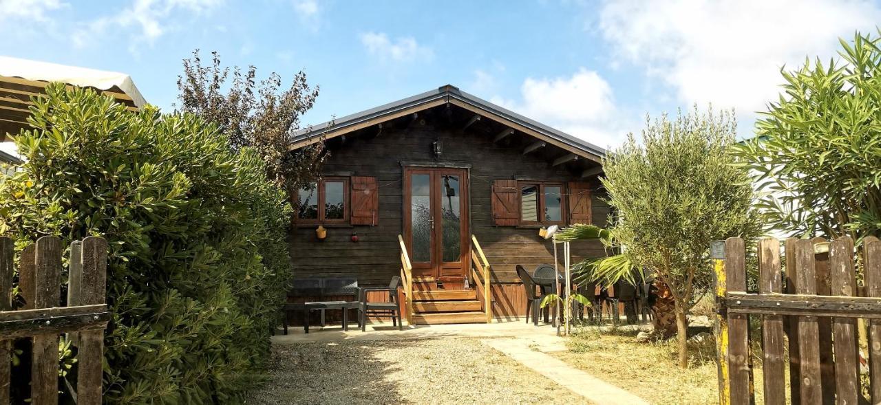 סיג'אן Chalet En Bois "Le Libellule" מראה חיצוני תמונה